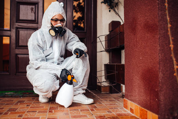 Reliable Termite Control contractor in Kitty Hawk, NC by Nex Pest Control